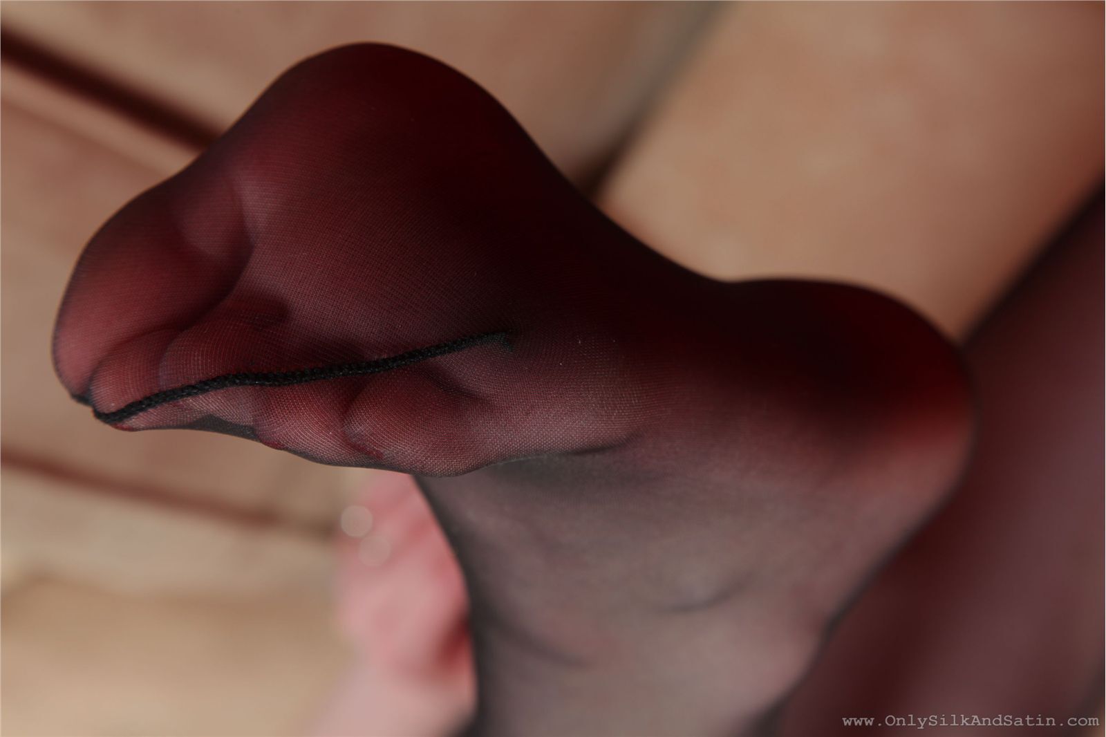 [Onlysilkandsatin] Charlie   欧洲美洲丝袜美女性感写真